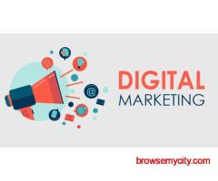 Best Digital Marketing Services in Delhi | DigiDir Digital Marketing Agency