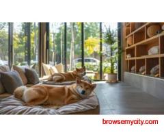 Dog Hostel In Delhi