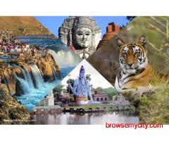 Explore Madhya Pradesh Travel Packages. Book Your Journey Today