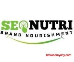 Explore SEONutri blogs for better insights