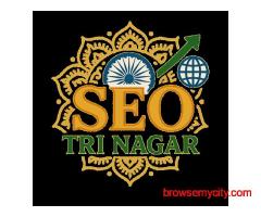 TechRank Agency – No.1 SEO Company in Tri Nagar for Guaranteed Growth