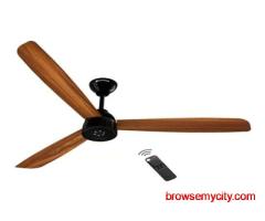 Premium BLDC Ceiling Fan by Wadbros