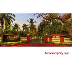 Destination Wedding in Goa – Celebrate Love by the Sea