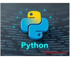Python Institute in Laxmi Nagar, Delhi