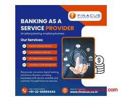 Banking as a Service Provider | Software as Service Provider