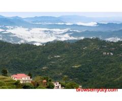 Dreamy Destination Wedding in Kasauli – Say “I Do” in the Hills