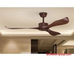 Top Quality Aesthetic Designer Fan by Wadbros
