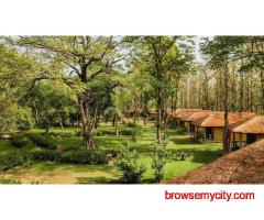 Cozy Wilderness at Bijrani Jungle Cottages: New Year Packages in Jim Corbett