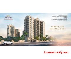 +91 8950175017