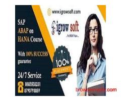 SAP ABAP on HANA | SAP S4 HANA Olinne  Training in Ameerpet | Igrowsoft