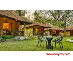 Jungle Cottages in Jim Corbett by CYJ Events