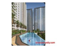 Mantra Properties