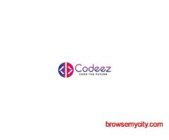 Python Courses in Indore - Codeez