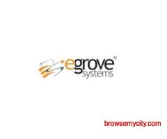 Marketplace Application Development - eGrove Systems