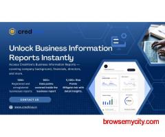 Business Information Report – Get Accurate Company Insights