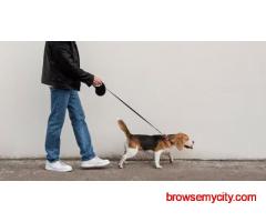 Dog Walking In Ahmedabad
