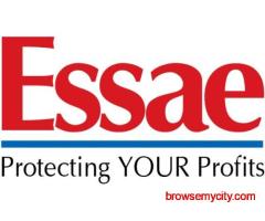 Essae Digitronics – Trusted Weighbridge Manufacturer in India