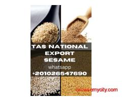 T.A.S National Company delivers excellence in every sesame seeds