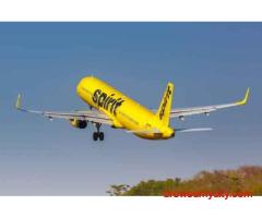 Spirit Airlines Name Change Policy