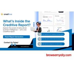 Understand Businesses Better with Comprehensive Reports | Credhive