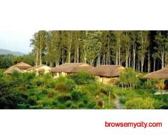 Bijrani Jungle Cottages – Your Perfect Forest Getaway in Jim Corbett