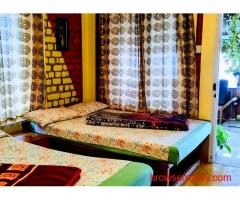 Resorts in Vattakanal | Vattakanal Valley View Resorts