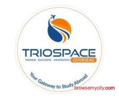 Best Overseas Education Consultants in Hyderabad