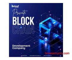 Beleaf Technologies – Leading Private Blockchain Development Company Delivering Secure, Scalable,