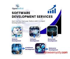 Best Custom Software Development Services for Growth