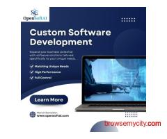 Best Custom Software Development Services for Growth