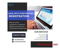 Simplify Your LEI Number Search & Renewal Today | MNS Group