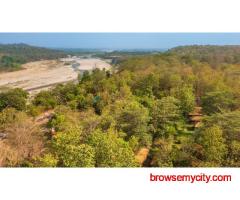 Tranquil Jungle Resort in Jim Corbett for Relaxation