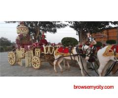 Don’t Settle for Basic — Hire the Best Marriage Band in Delhi