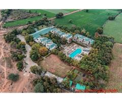 Wild Celebrations Await with Ranthambore New Year Packages