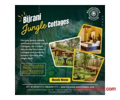 Experience Nature Up Close at Bijrani Jungle Cottages