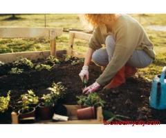 Professional Gardening Services in Bangalore
