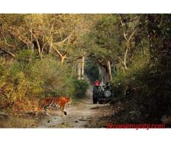 Corbett Resorts – Luxury Resorts in Jim Corbett