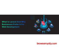 laravel website development