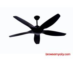 Premium Visual Appeal Designer Fan