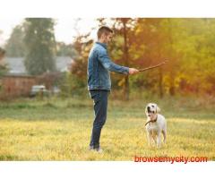 Dog Training In Patna