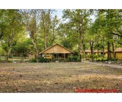 Bijrani Jungle Cottages – Perfect Gateway to Forest Serenity