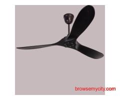 Best Quality Elegant Designer Fan