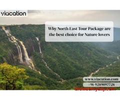 Why North East Tour Package are the best choice for Nature lovers