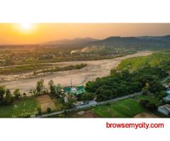 New Year Packages Near Delhi – Jim Corbett Celebration by CYJ