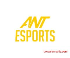Ant Esports Mechanical Keyboard for Sale