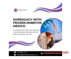 Surrogacy With Frozen Embryos Mexico