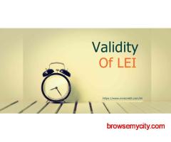 Fast & Hassle-Free LEI Renewal | MNS Group