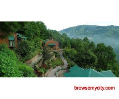 Book Exciting New Year Packages in Kasauli 2026 – Luxury Celebration & Stay
