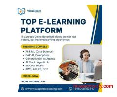 Online IT Courses  | Best eLearning platform - Visualpathelearning