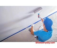 Professional Plastering Companies in Sydney